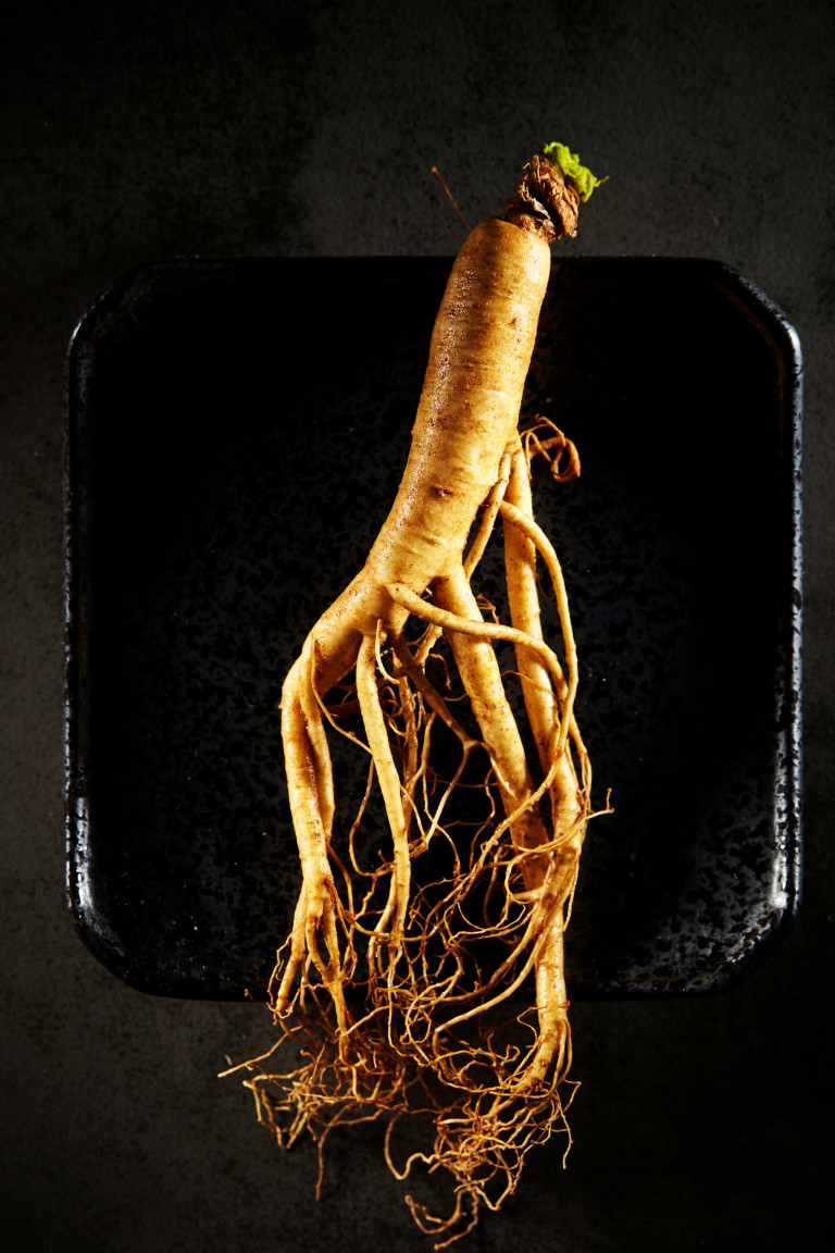 Ginseng