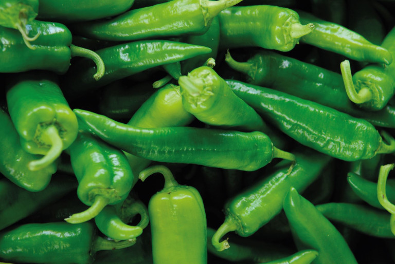 TAST'EFFECT Calor - Jalapeños